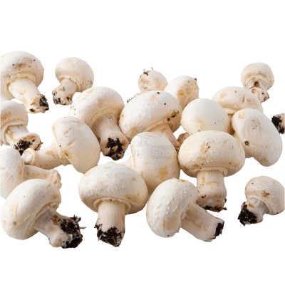 Шампиньоны свежие 500 г - купить в Курукнуре